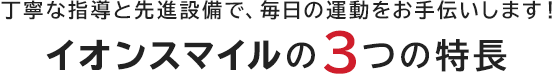 イオンスマイルの特徴