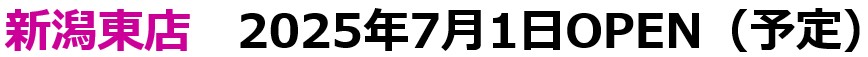 新潟東店
