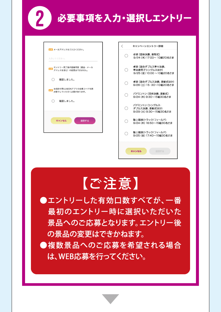 2 必要事項を入力・選択しエントリー