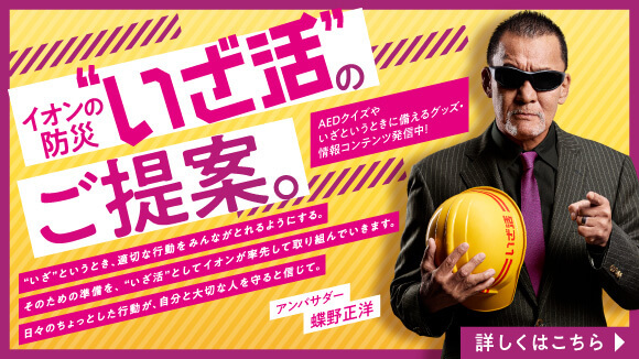 【懸賞当選品】AEON(イオン)❤︎日米野球応援グッズ イオン オールスターシリーズ 日米野球 2004 AEON 応援グッズ