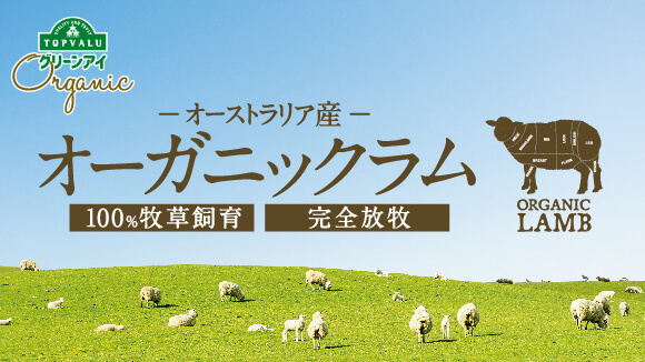 �I�[�K�j�b�N��g�߂ɁB