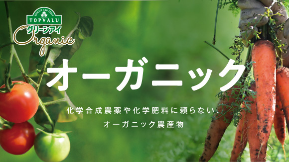 ���g�b�v�o���� �O���[���A�C���I�[�K�j�b�N�_�Y��