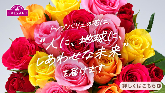 ���g�b�v�o�������؂��