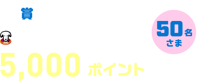 B賞 WAON POINT 5,000ポイント 50名さま