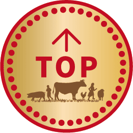 ページのTOPへ戻る