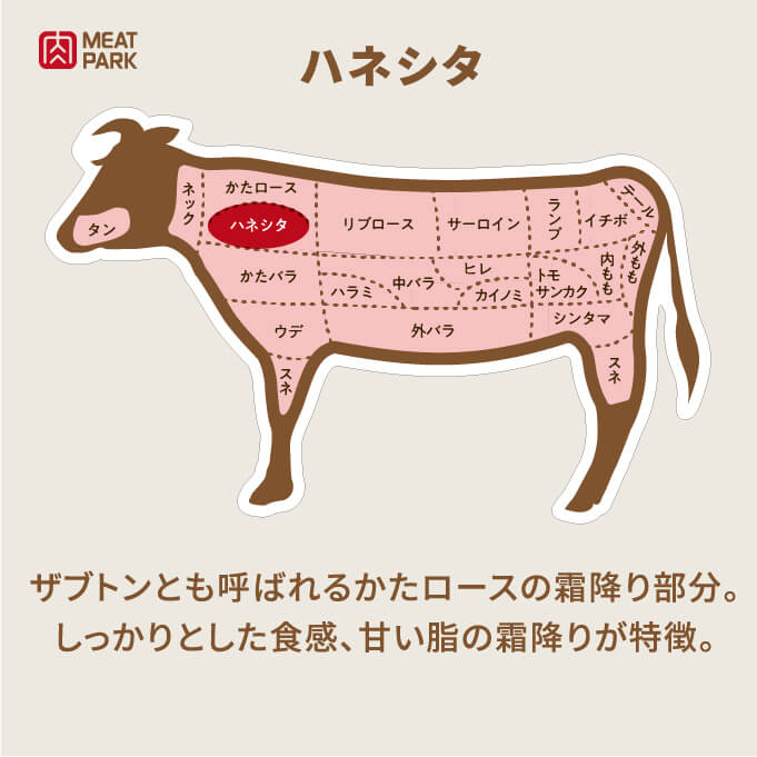 部位の説明