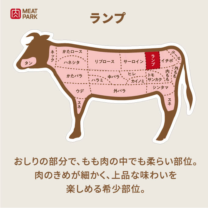 部位の説明