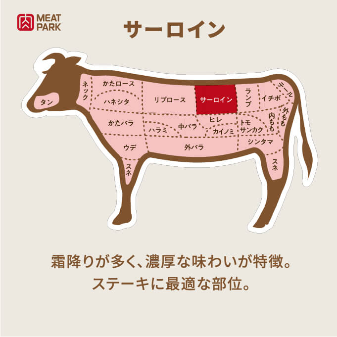 部位の説明