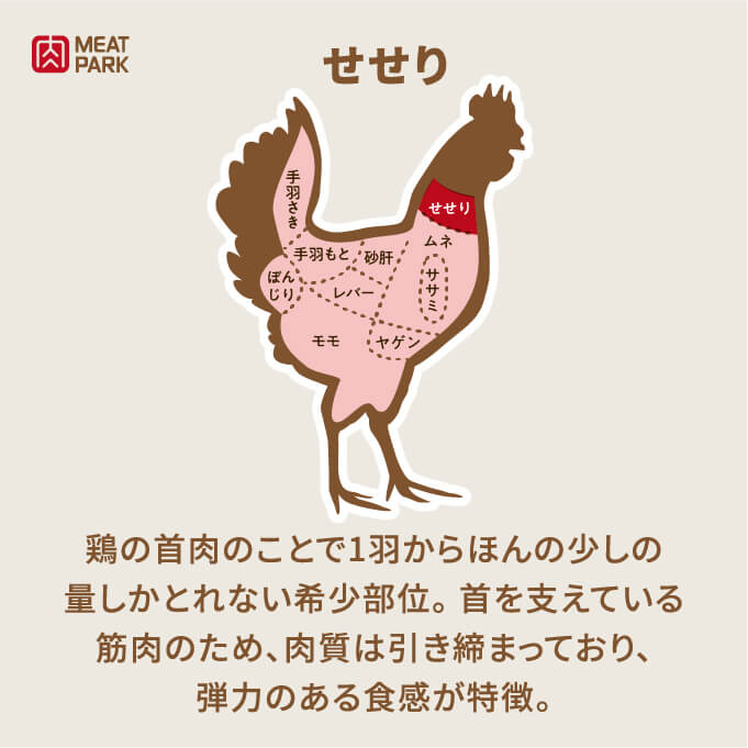 部位の説明