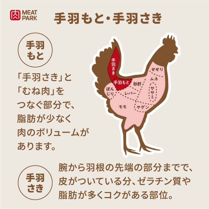 部位の説明