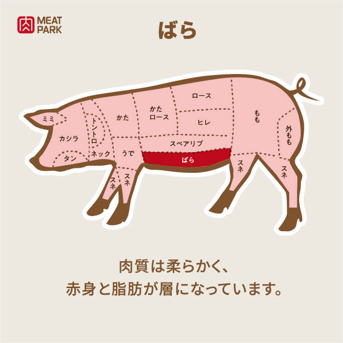 部位の説明
