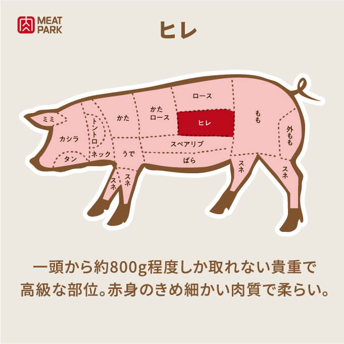 部位の説明