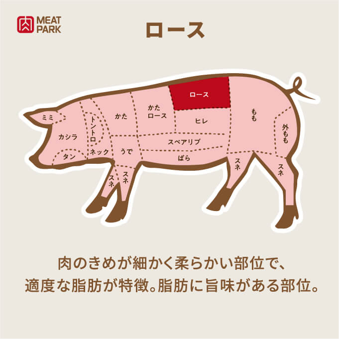 部位の説明