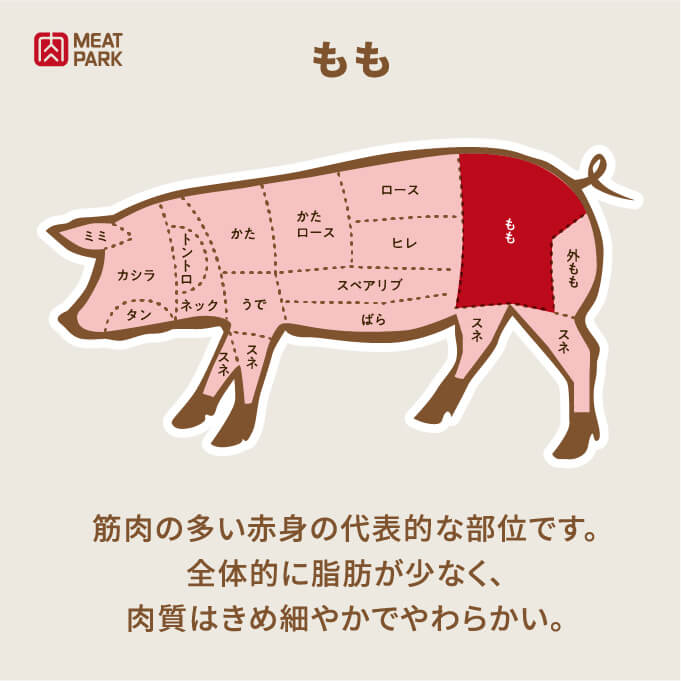 部位の説明