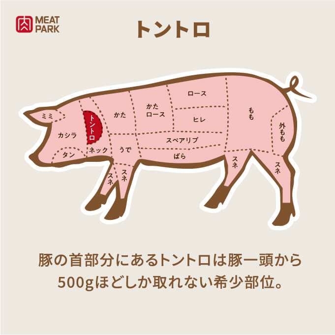 部位の説明