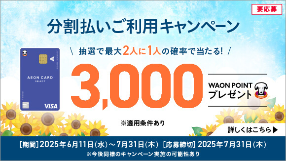 イオンカード 分割払いご利用CP