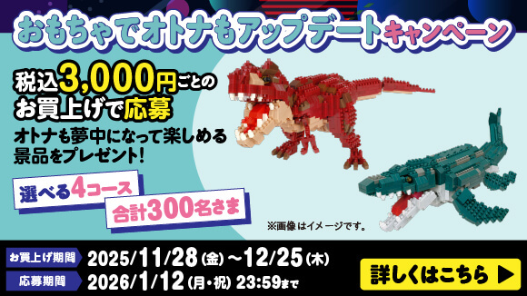 ��������ŃI�g�i���A�b�v�f�[�g�L�����y�[��