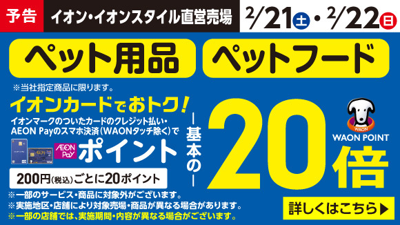 �y�\���z�y�b�g�t�[�h�E�p�i20�{