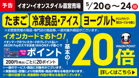 �y�\���z�f�C���[�t�[�Y20�{