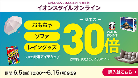 �C�I���X�^�C���I�����C�� �G�߂̕i�|�C���g30�{