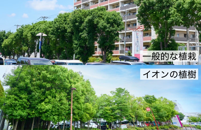 一般的な植栽　イオンの植樹